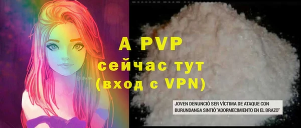 стаф Волоколамск