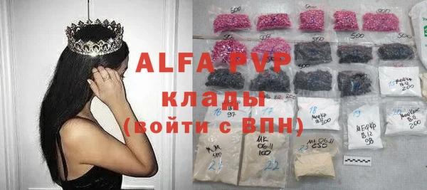 стаф Володарск