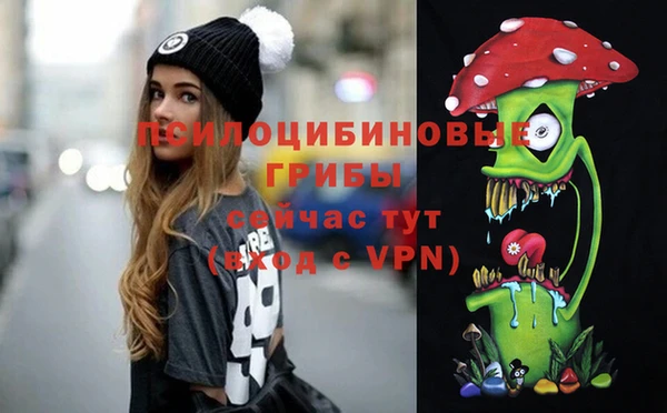 стаф Володарск