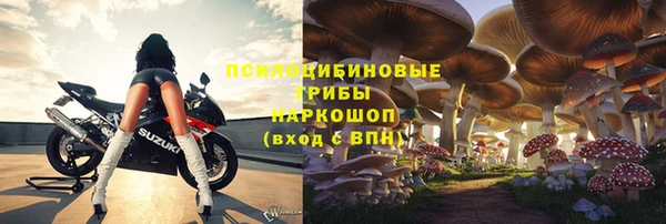 стаф Волоколамск
