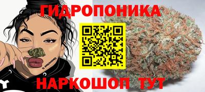 крисы Гусь-Хрустальный