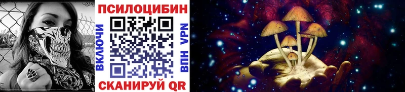 Псилоцибиновые грибы Psilocybine cubensis  это состав  Минеральные Воды 