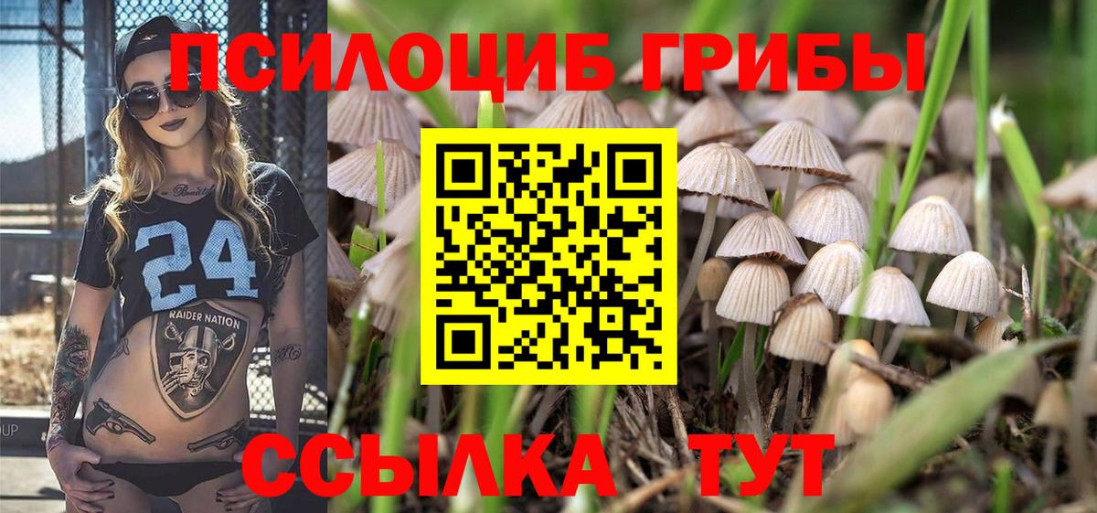 Галлюциногенные грибы Magic Shrooms  Вход с VPN  Псилоцибиновые грибы мицелий  Минеральные Воды 
