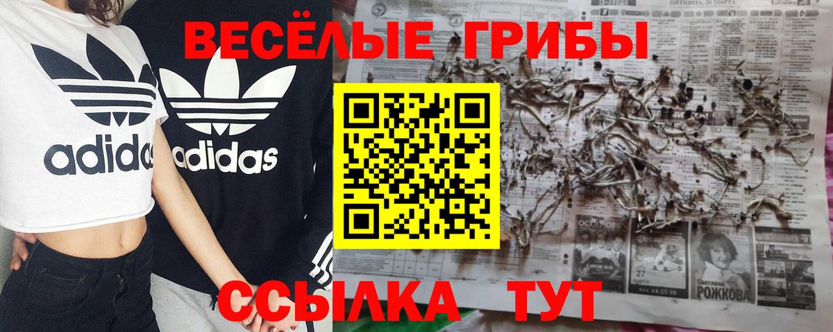 Галлюциногенные грибы мицелий  Галлюциногенные грибы Magic Shrooms  Минеральные Воды 