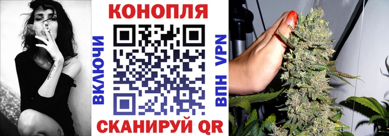 Бошки марихуана конопля  Минеральные Воды 