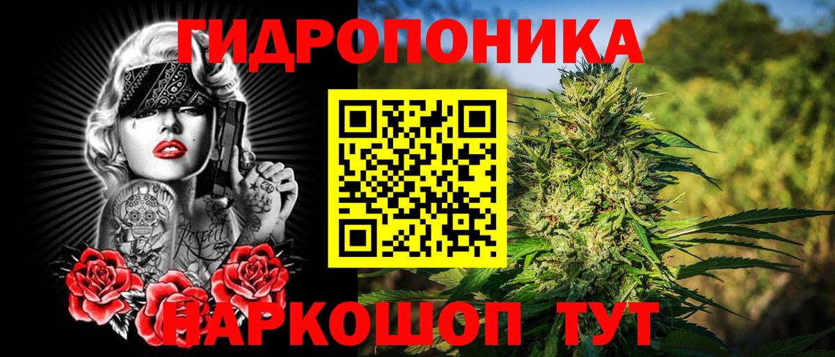 Бошки марихуана гибрид  Каннабис план  Вход с VPN  Минеральные Воды  Конопля сатива 